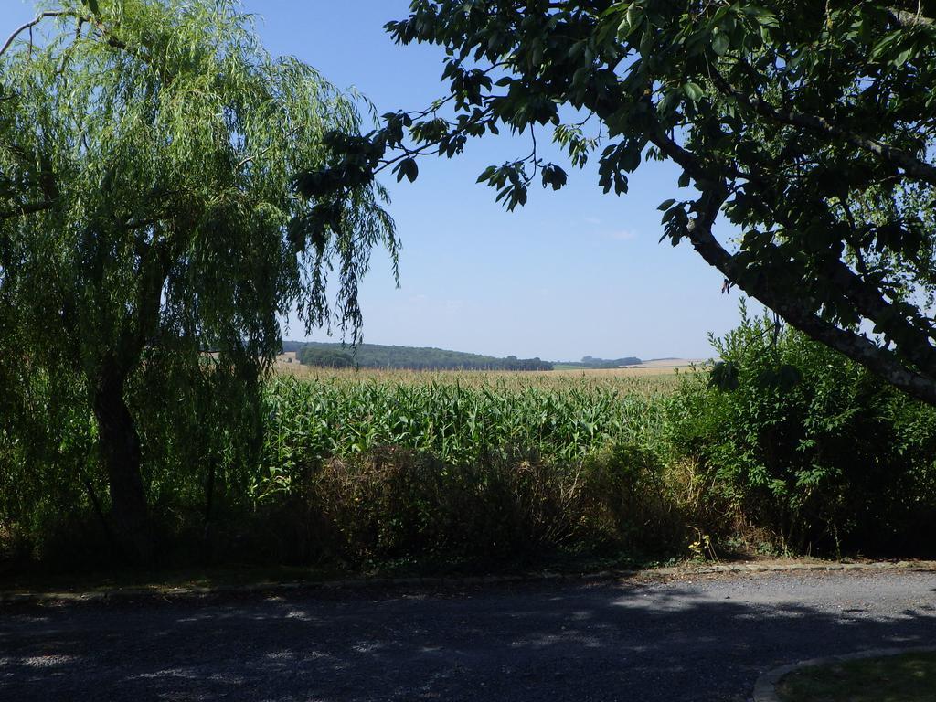 Les Gites Du Vieux Frene Longavesnes Luaran gambar